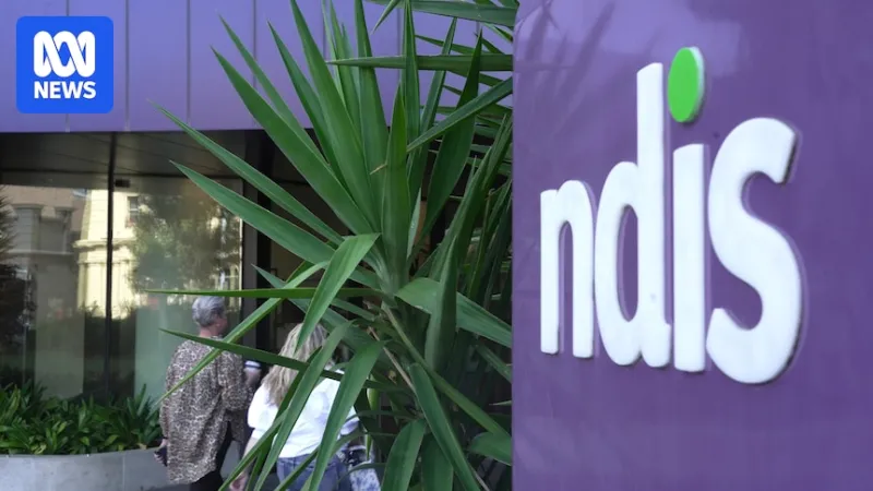 NDIS lost $3.7B to 'integrity leakage' last year