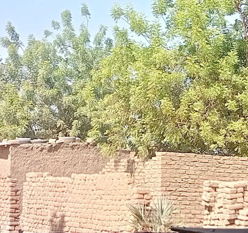 N'Djamena rents crush young households