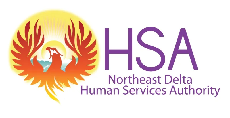 NEDHSA 10th Opioid Summit Focuses on Maternal Health