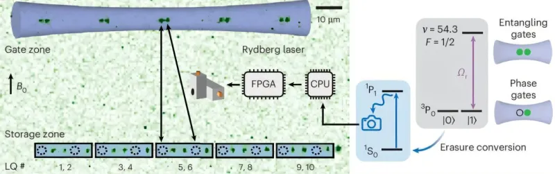 Neutral Atom Quantum Circuits Show Error Correction Promise