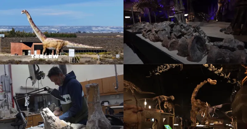 New Sauropod Dinosaur Species Discovered in Argentina