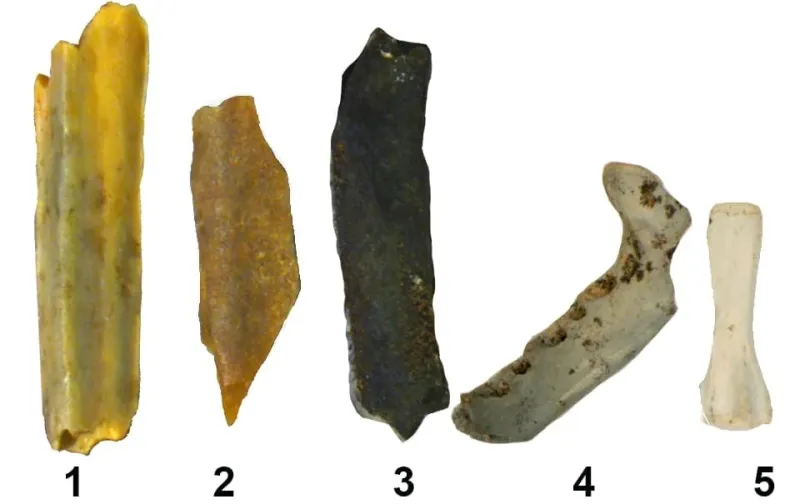 New technique reveals early human fire use 1.6 million years ago