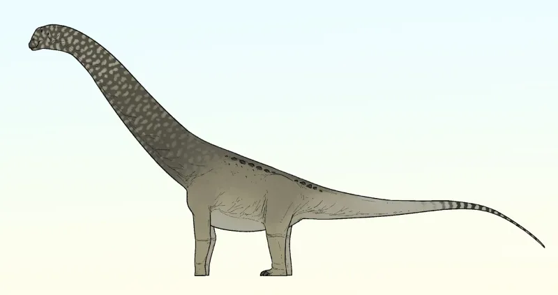 New Titanosaur Species Discovered in Morocco