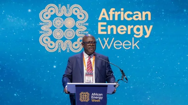 Nigeria Reaffirms OPEC+ Commitment