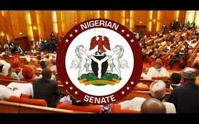 Nigeria Senate Passes Virtual Assets Bill Second Reading