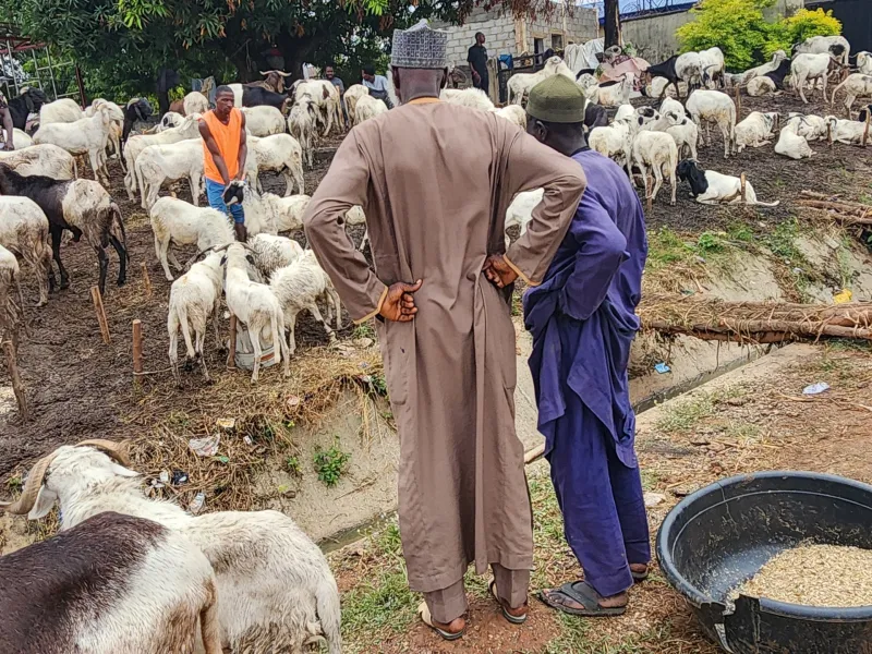 Les dépenses de l'Aïd au Nigeria frappées par la crise du coût de la vie