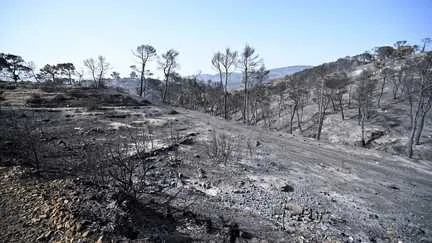 Canicule et incendies en Afrique du Nord juillet 2026
