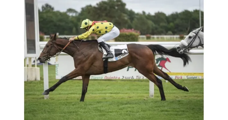Néron de la Brunie: Seeking New Blood with Bosardo