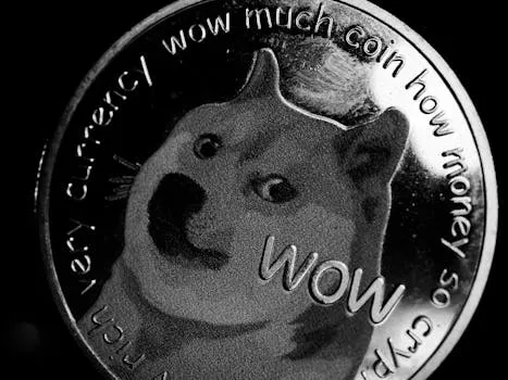 Le contrôleur de NYC imite le DOGE de Musk avec le plan COGE