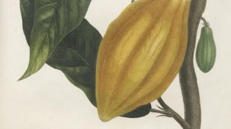 Occitanie's Artisan Chocolate Masters Craft Easter Delights