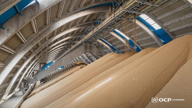 OCP and Koch Form Joint Venture for Jorf Fertilizers
