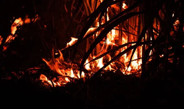 Ohio Wildfire Containment Progresses