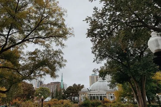 Ontario Heat Dome: Humidex to Reach 45°C