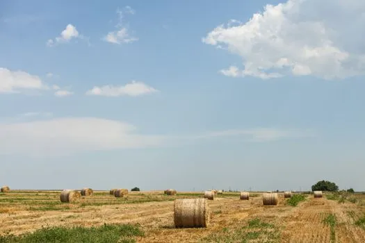 Open Farm Days showcases Sturgeon County agriculture