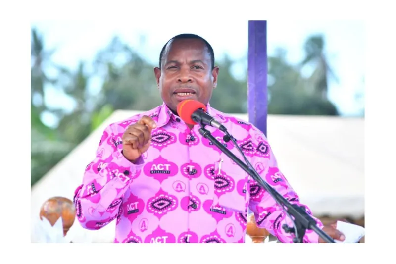 Othman Criticizes Union Structure Over Zanzibar Revenue Losses