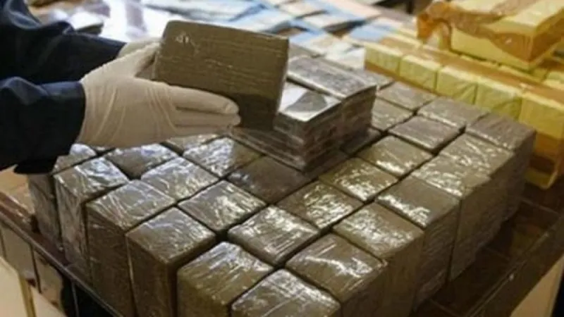 Over 3 Tons of Drugs Seized in France