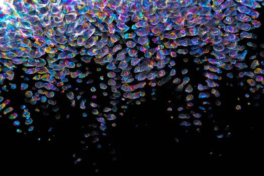 Palisade Bio Abstract Accepted for DDW 2026 Poster