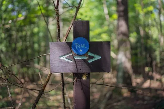 Patrick Royer: CBL Trail Marker and More
