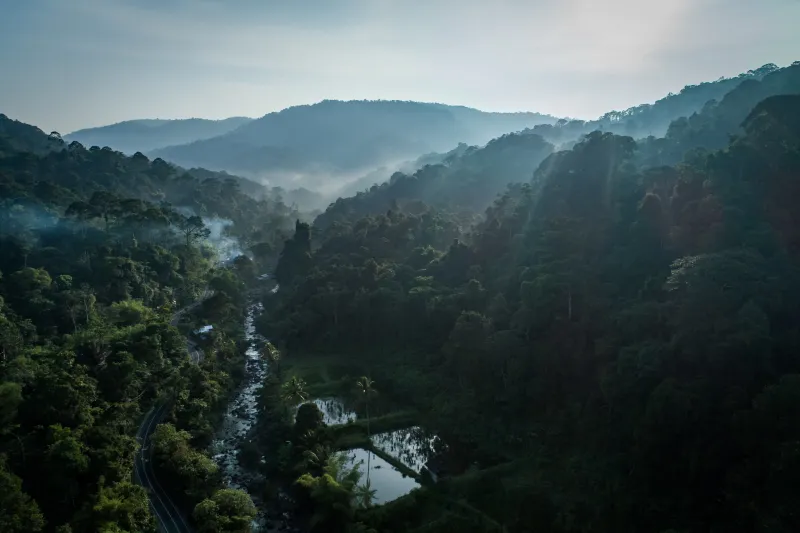 Décès de Paul Ehrlich, biologiste controversé, à 93 ans