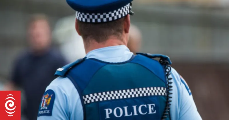 Pedestrian dies in vehicle incident near Lake Ellesmere