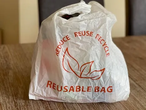 Penang interdira les sacs plastique à usage unique dès le 1er septembre