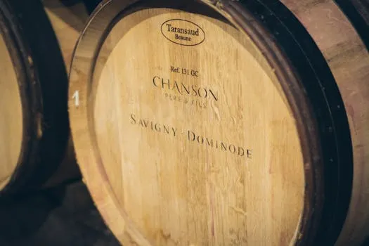 Philippe Troussier: From World Coach to Winemaker