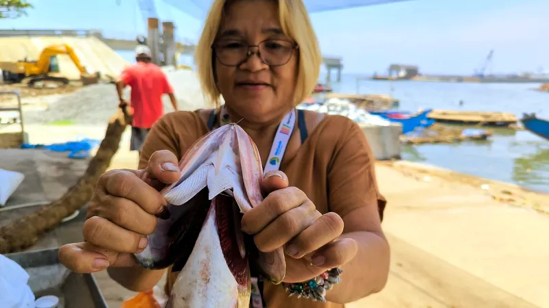 Philippine fish output down 15.3% in Q1 2026