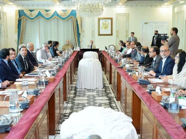PM Shehbaz orders emergency response for monsoon