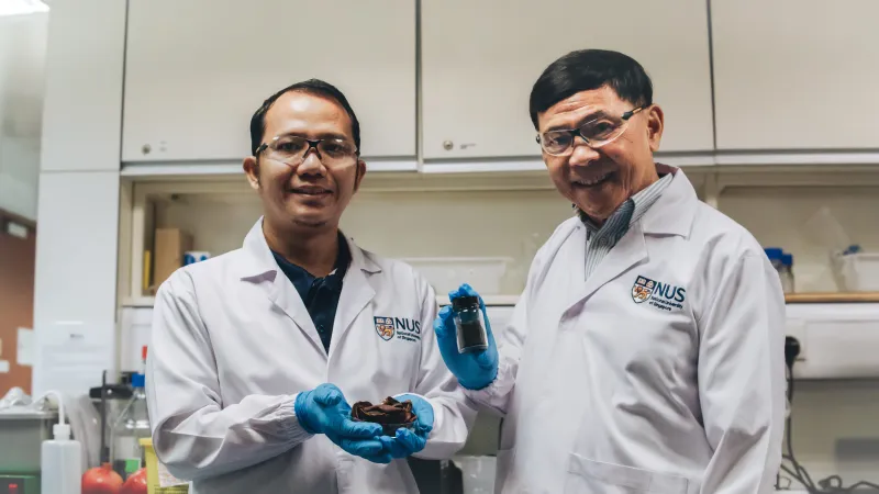 Pomegranate Peel Upcycled into Water Purifier by NUS