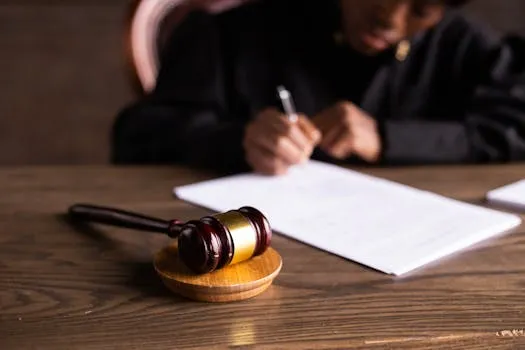 PPAA to Integrate e-Procurement with Judiciary System