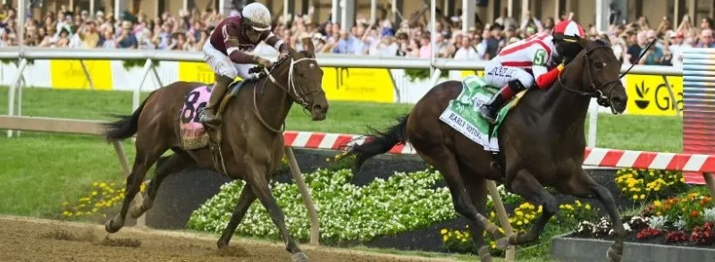 Preakness Stakes 2026: Expert Picks for 8 Stakes Races