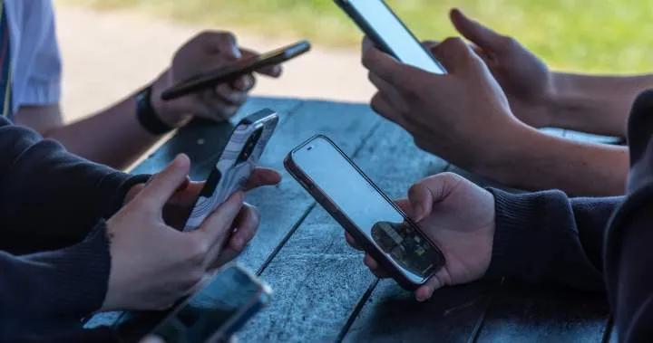 Provinces await federal social media ban details
