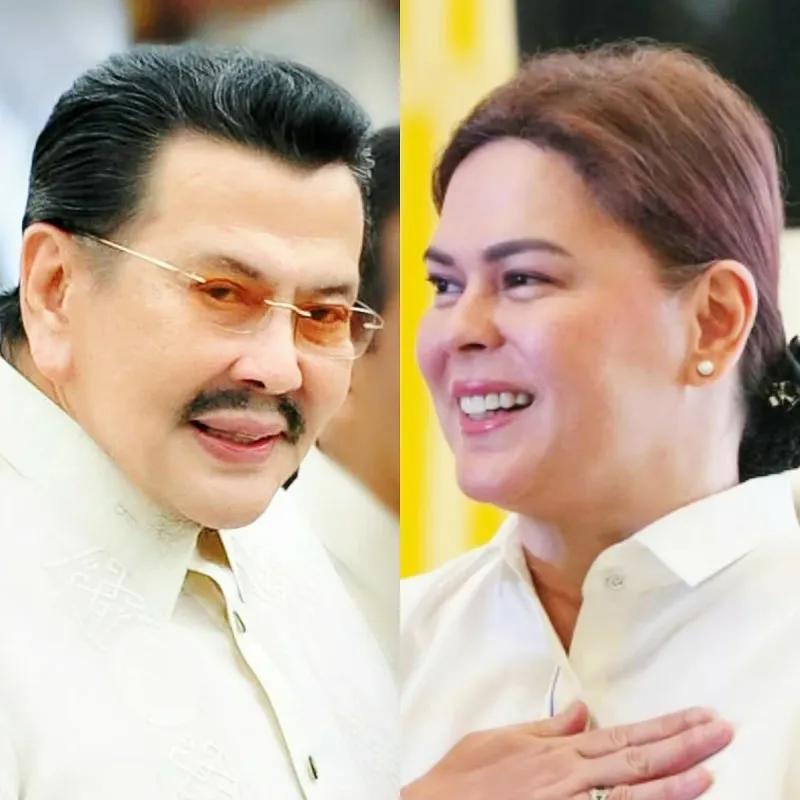 Puno: Pursue VP Duterte's 'hidden wealth' like Estrada case