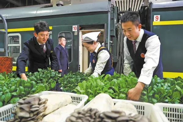 Qinghai-Xizang Railway: 20 Years of Logistics Transformation