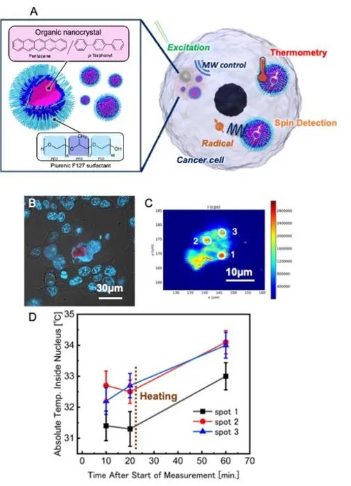 Quantum Nanosensors Map Heat in Cancer Cells