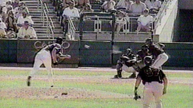 Randy Johnson's 2001 Bird Strike Remains MLB Legend