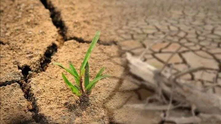 Rangelands restoration key to fighting desertification