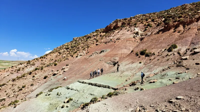 Rare Lizard Fossil Footprints Found in Morocco