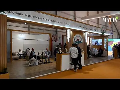 Point sur la filière viandes rouges avec Mustapha El Khouli, président ANPVR