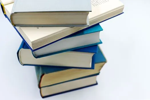Rejected by 9 publishers, children's book becomes must-have