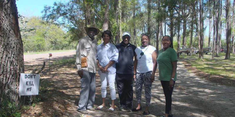 Residents fight to save historic Sol Legare live oak from removal