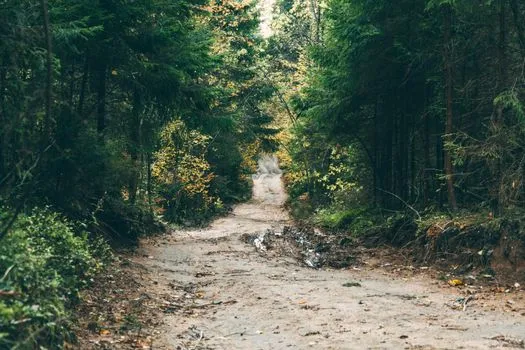 Roadless Area Protections Debated in Kittitas County