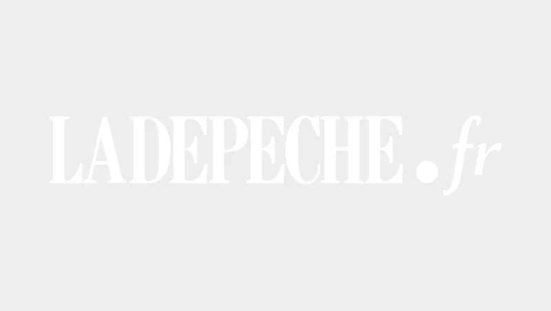 Rodez: Neighbors and Witnesses Shift Investigations