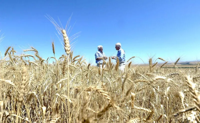 SADC Warns of Severe El Niño Threat for 2026/27 Season