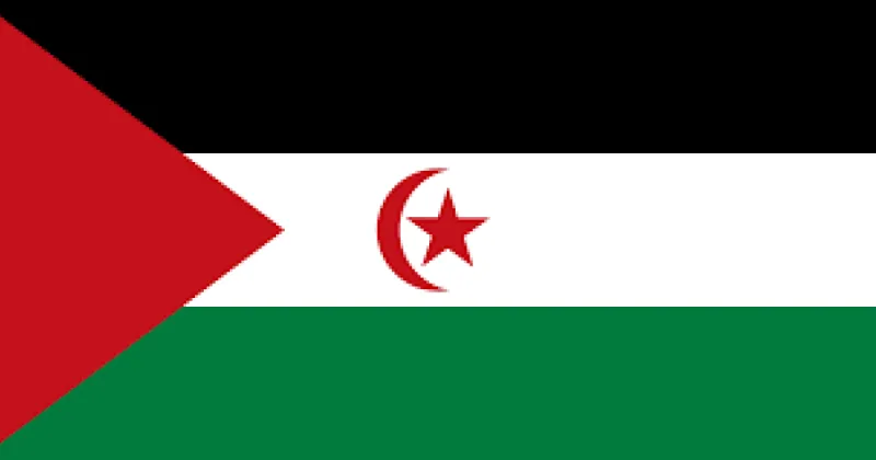 SADR Elected as UN North Africa Rapporteur