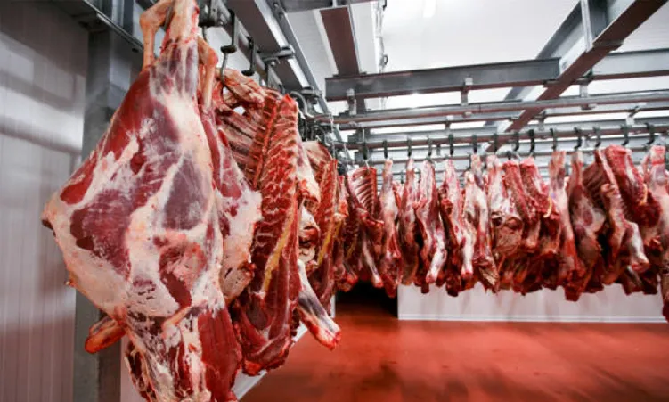 Savanna Beef Receives Export Abattoir Certification