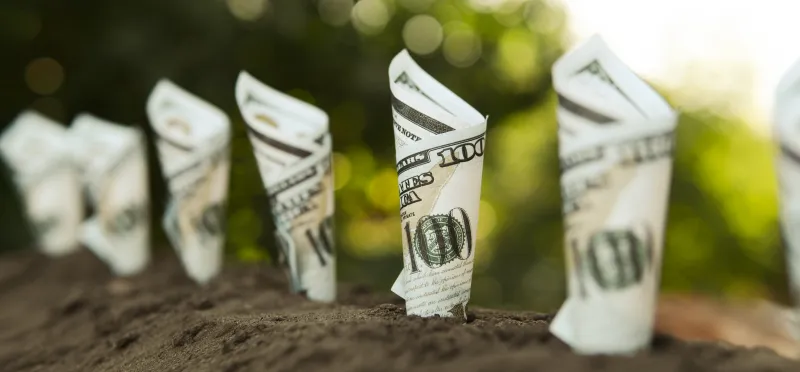 SCHD vs. VIG: Dividend ETF Comparison