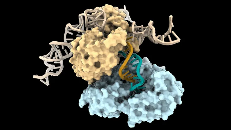 Scientists Discover New, Template-Free DNA Synthesis Method
