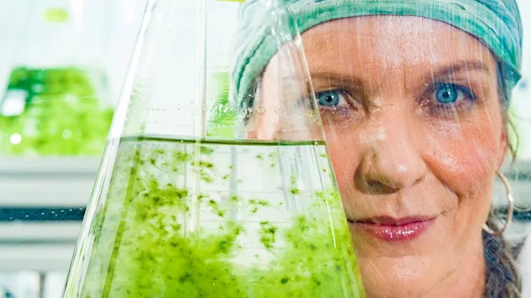 Scientist's Scalp Regrown Using Her Own Seaweed Research