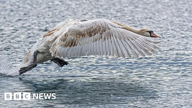 Scottish Landscape Photos Show Environmental Shifts